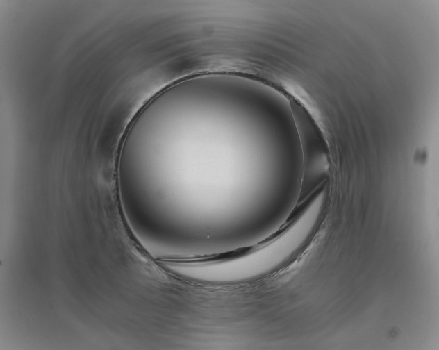 X0000094451089200711151422