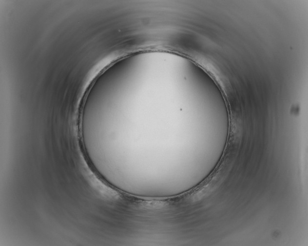X0000094451090200711151422