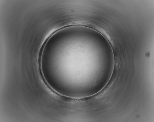 X0000094451091200711151422