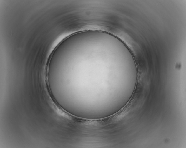 X0000094451094200711151422