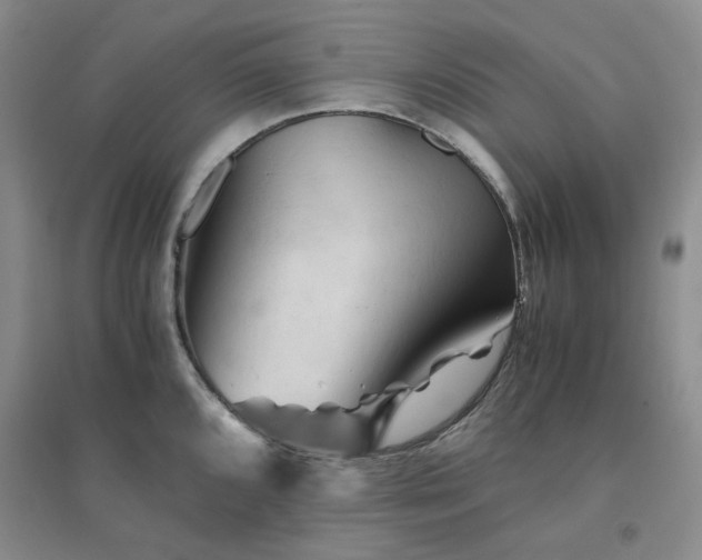 X0000094451096200711151422