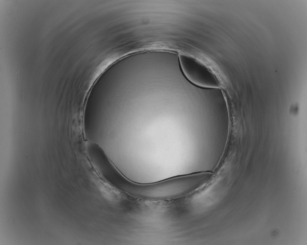 X0000094451097200711151422