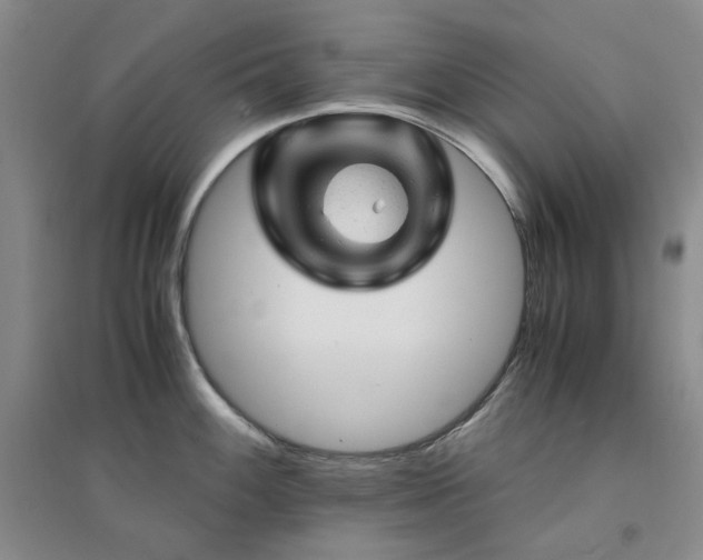 X0000094451100200711151422