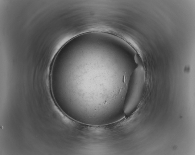 X0000094451103200711151422