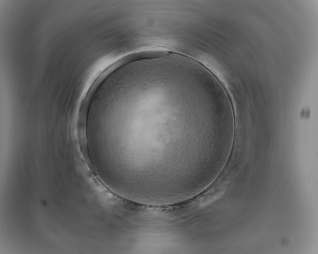 X0000094451104200711151422