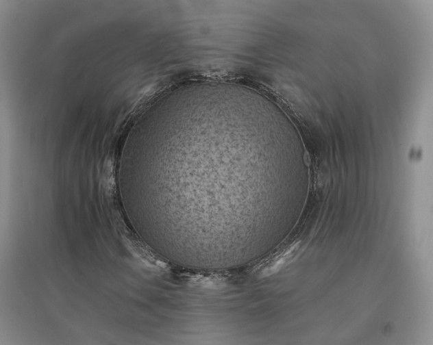 X0000094451106200711151421