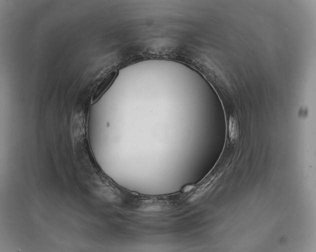 X0000094451107200711151421