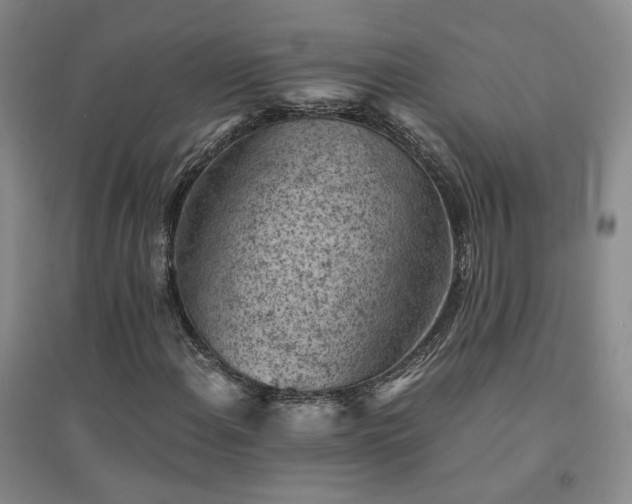 X0000094451108200711151421