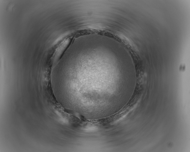 X0000094451110200711151421