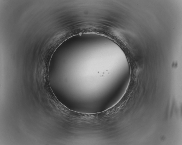 X0000094451111200711151421