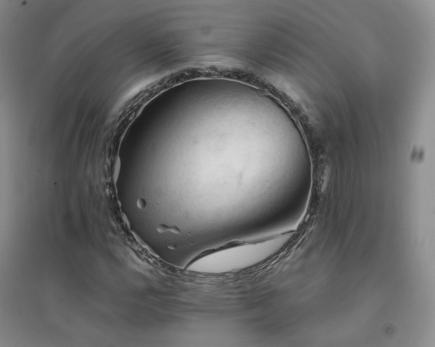 X0000094451112200711151421