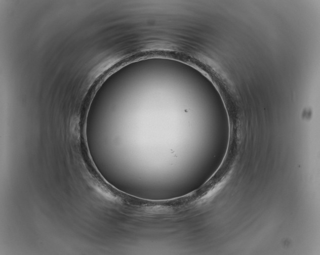 X0000094451113200711151421