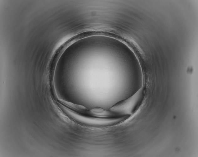 X0000094451114200711151421