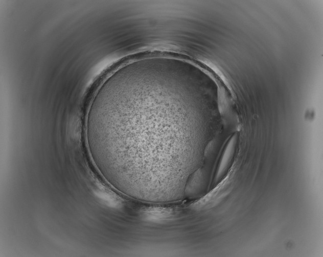 X0000094451115200711151421