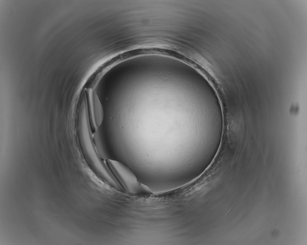 X0000094451116200711151421