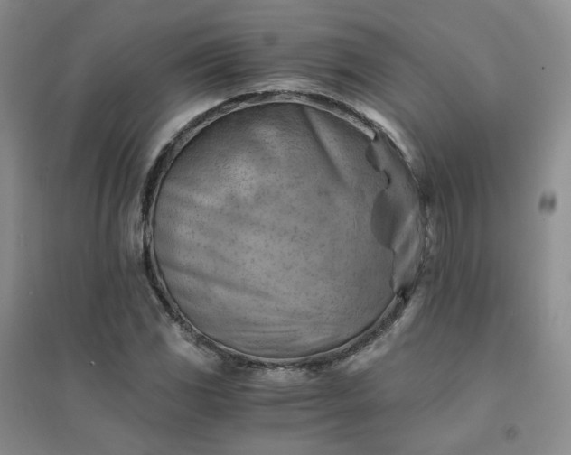 X0000094451117200711151421