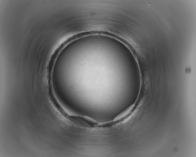 X0000094451118200711151421
