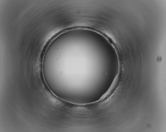 X0000094451119200711151421