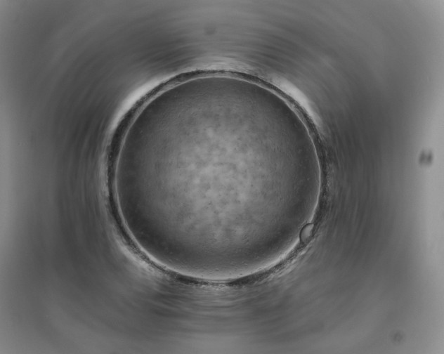 X0000094451120200711151421
