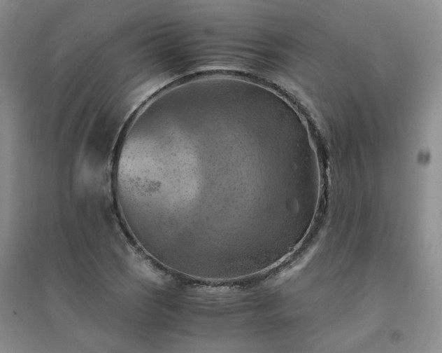 X0000094451121200711151421
