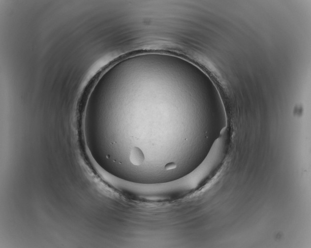 X0000094451122200711151421