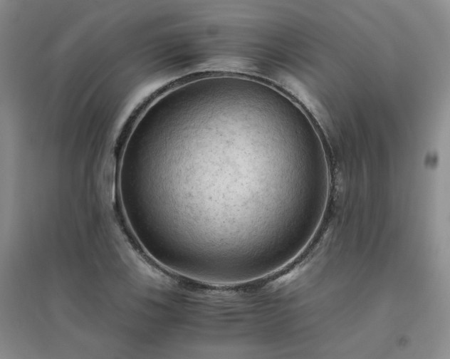 X0000094451123200711151421