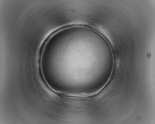 X0000094451124200711151421