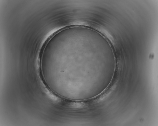 X0000094451125200711151421