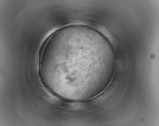 X0000094451127200711151421