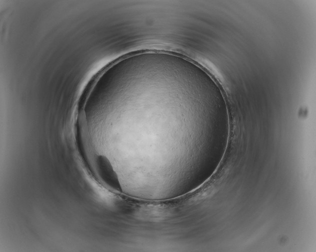 X0000094451128200711151421