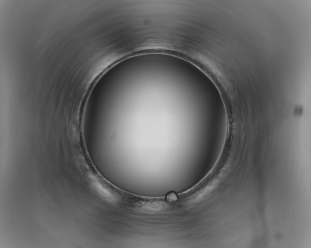 X0000094451129200711151421