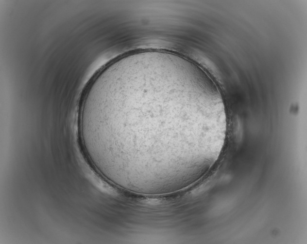 X0000094451130200711151421