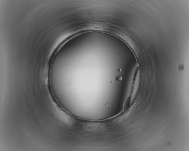 X0000094451131200711151421