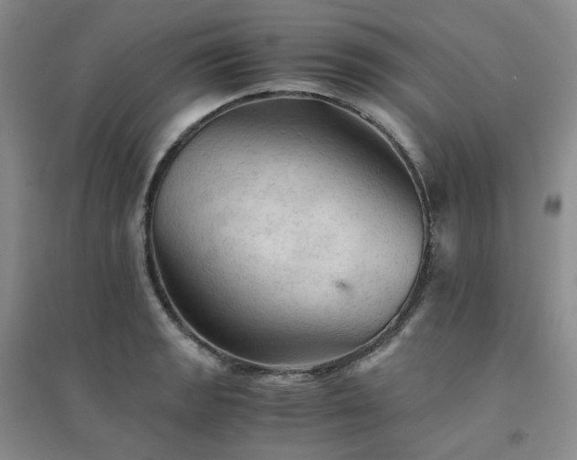 X0000094451133200711151421