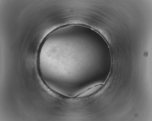 X0000094451134200711151421