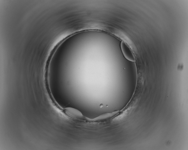 X0000094451135200711151421