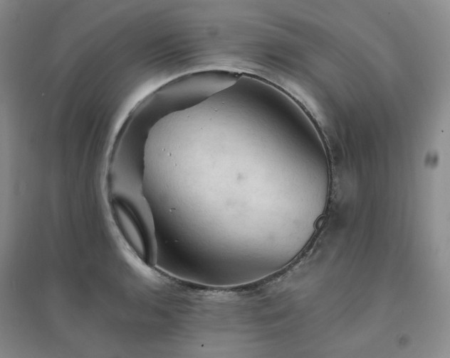 X0000094451136200711151421