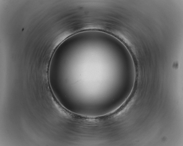 X0000094451137200711151421