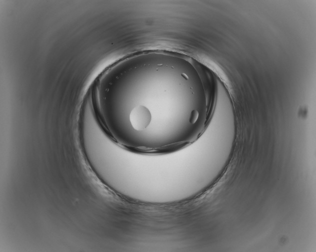 X0000094451138200711151421