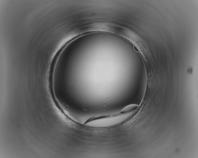 X0000094451139200711151421