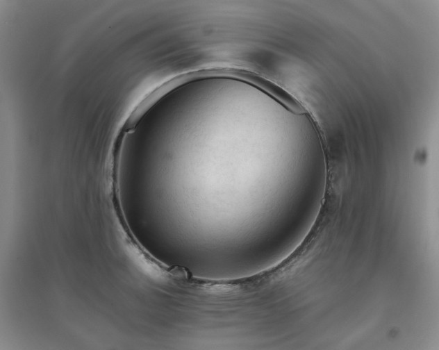 X0000094451140200711151421