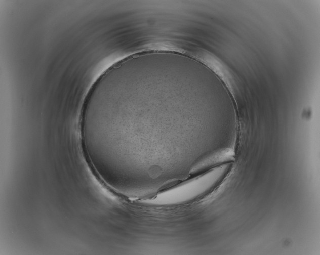 X0000094451141200711151421