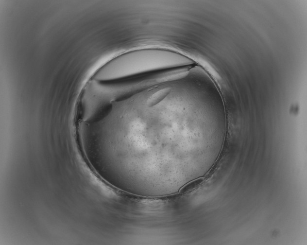 X0000094451142200711151421