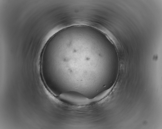 X0000094451143200711151422