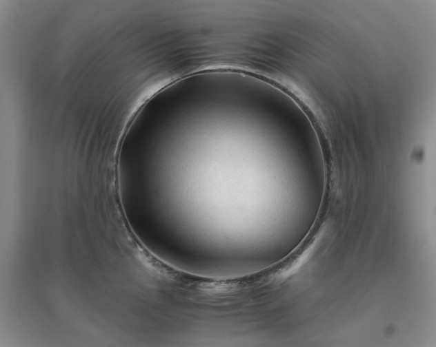 X0000094451145200711151422