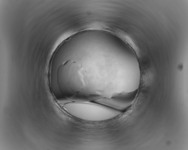 X0000094451146200711151422