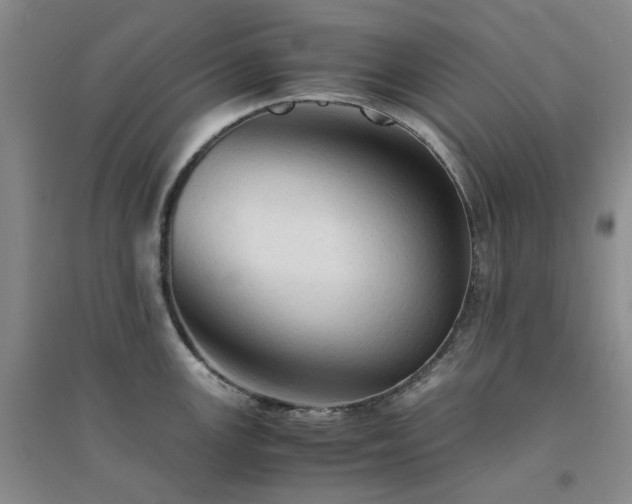X0000094451147200711151422