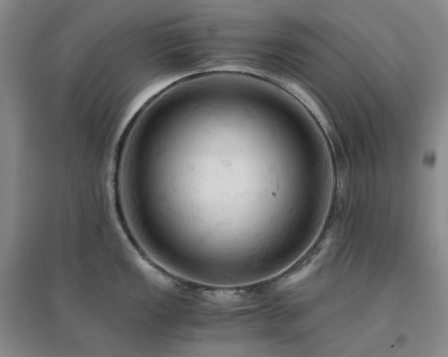 X0000094451149200711151422