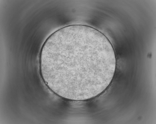 X0000094451150200711151422