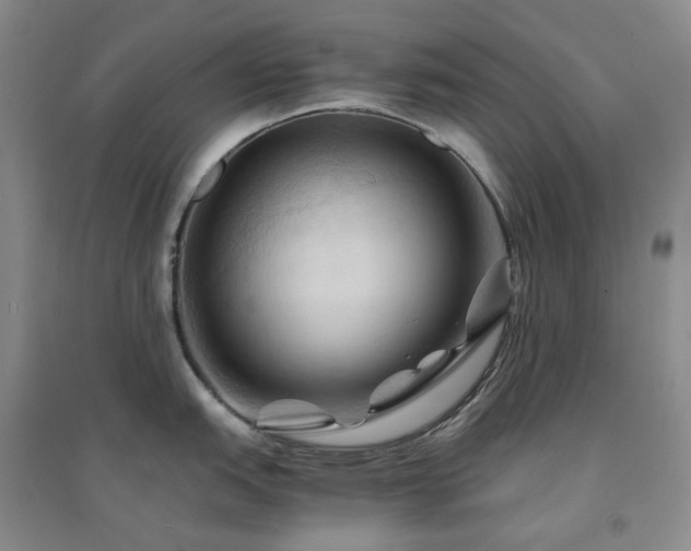 X0000094451151200711151422